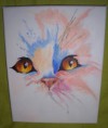 /album/animaux/regard-etrange-20-x-24-cm-jpg/